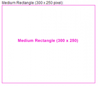 Medium Rectangle (300 x 250 pixel)