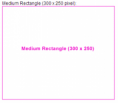 /products/medium-rectangle-300-x-250-pixel-/
